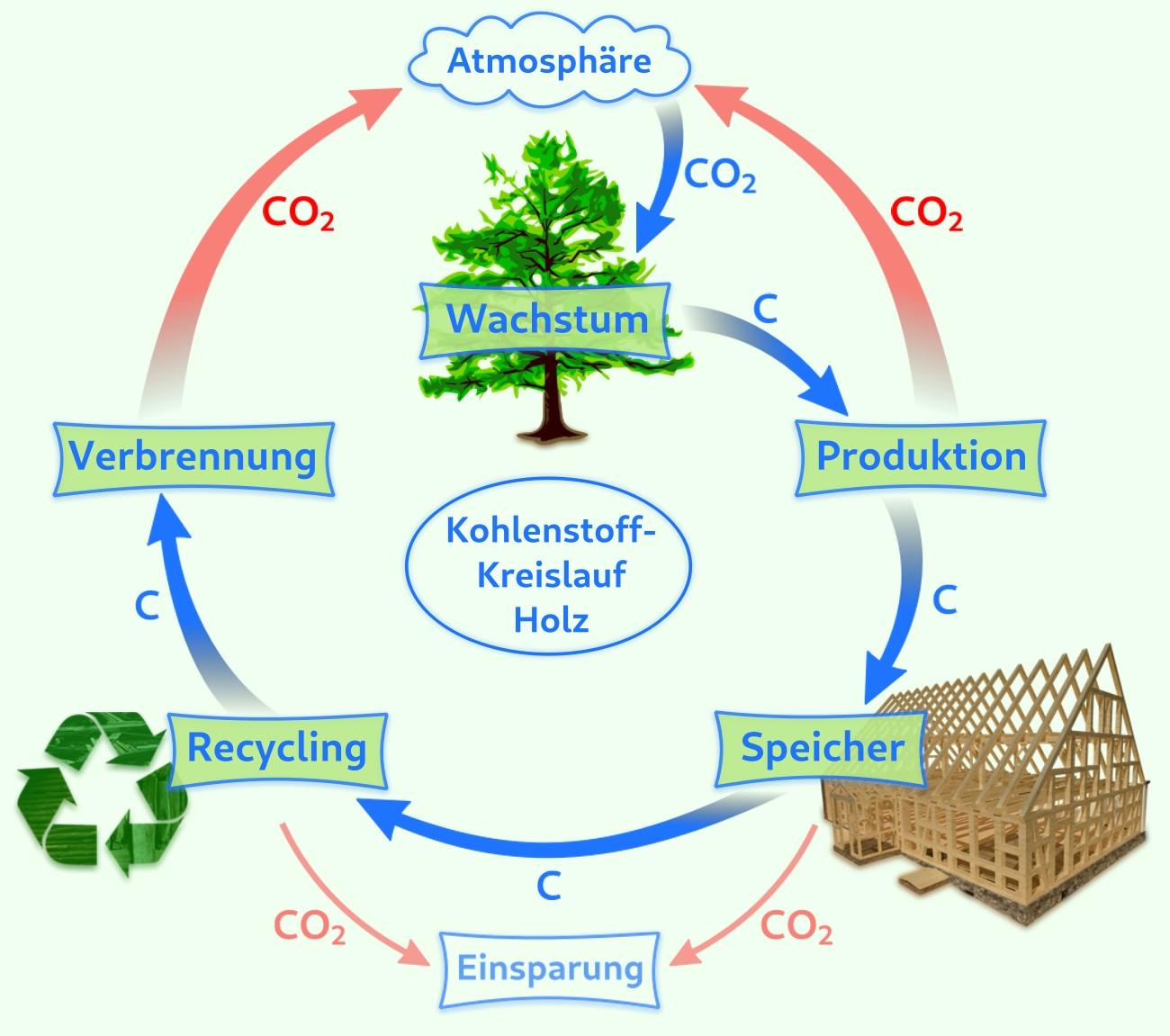 Der Kohlenstoffkreislauf von Holz